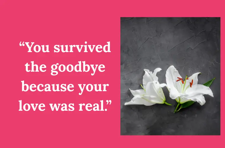 Comforting Quotes after Loss