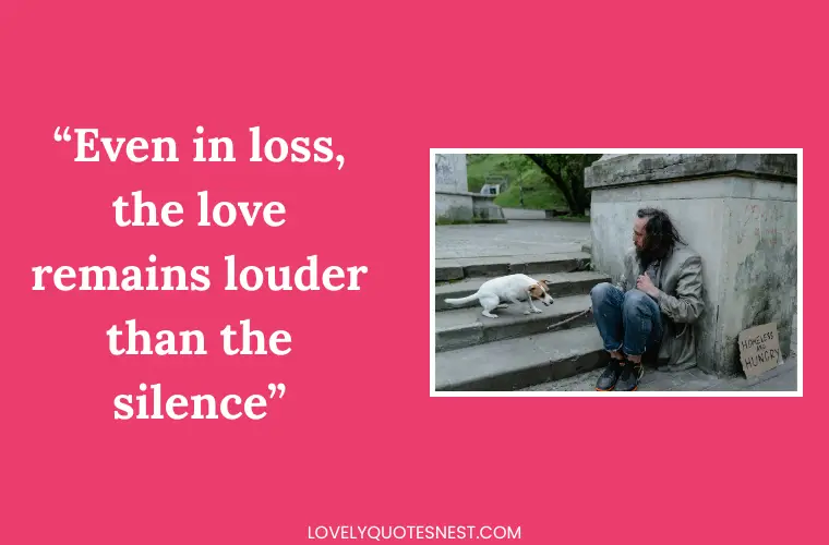 Inspirational Mourning Quotes for Pets Finding Hope in Grief