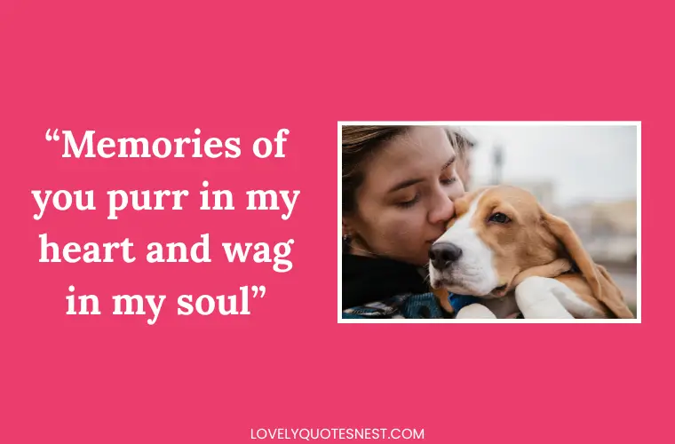 Quotes to Keep Pet Memories Alive