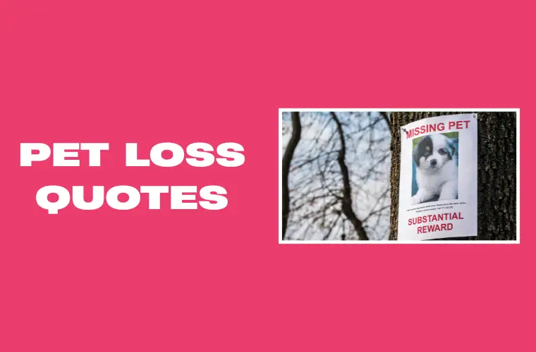 Pet Loss Quotes